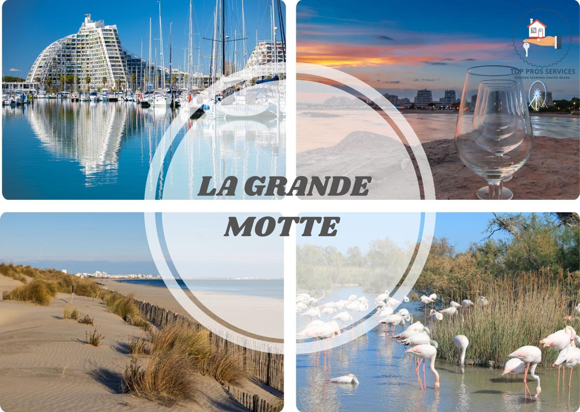 Le Cosy Wifi Clim Jardin Top Pros Servicesconciergerie Montpellier Buitenkant foto