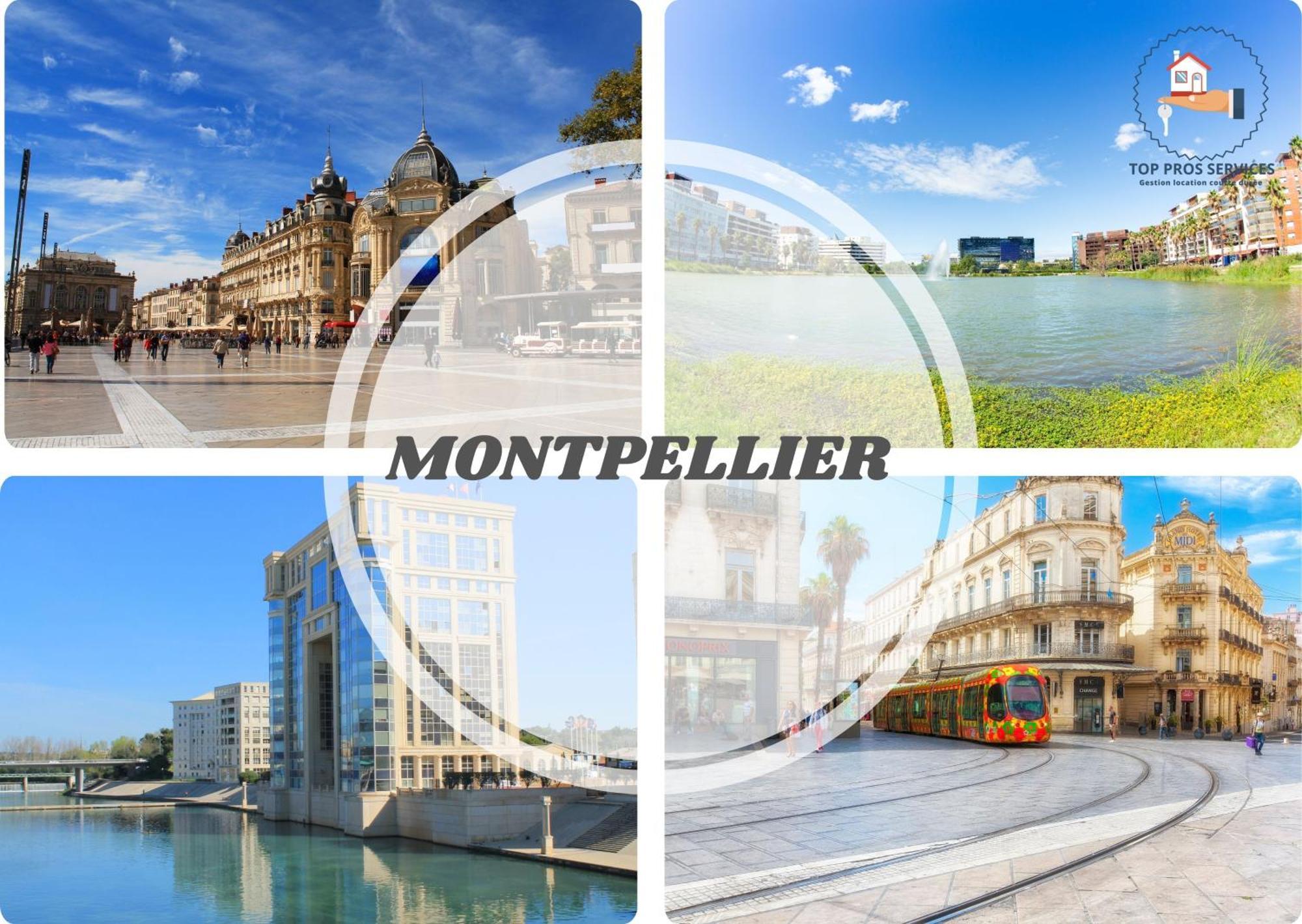 Le Cosy Wifi Clim Jardin Top Pros Servicesconciergerie Montpellier Buitenkant foto